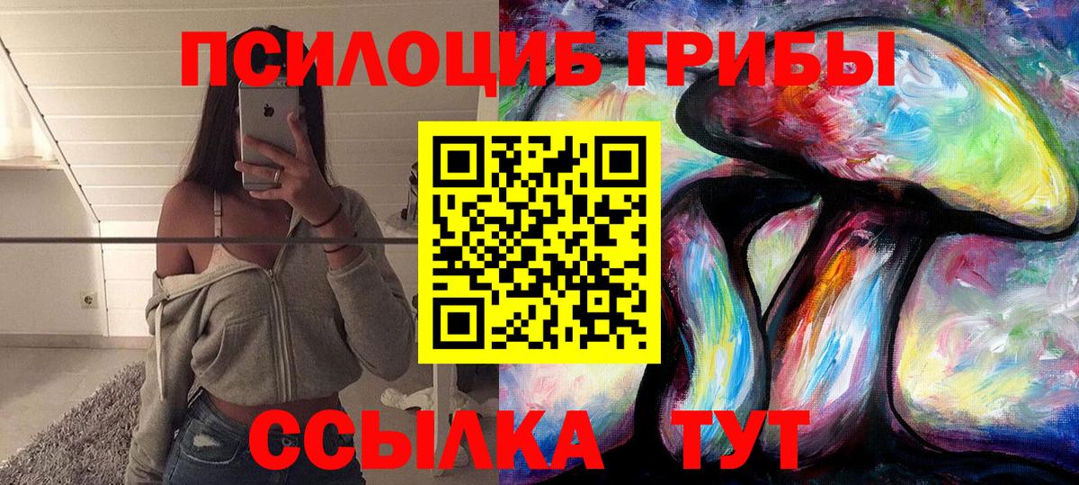 купить наркоту  Галлюциногенные грибы Cubensis  Вход с VPN  Берёзовский 