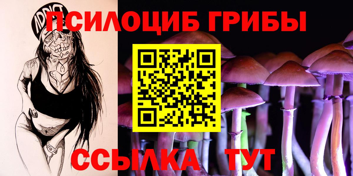 Галлюциногенные грибы Cubensis Берёзовский
